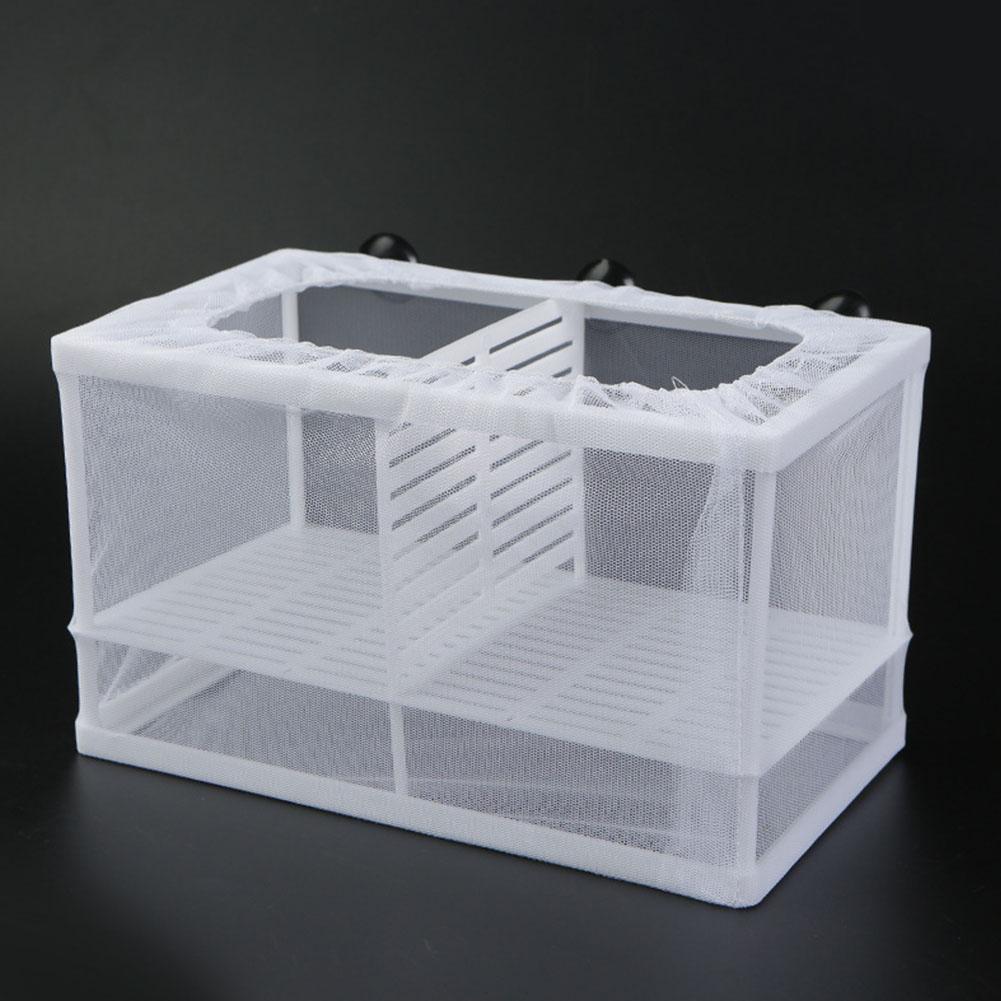 Aquarium Xxl - Aquarium Fish Breeder Box with Suction