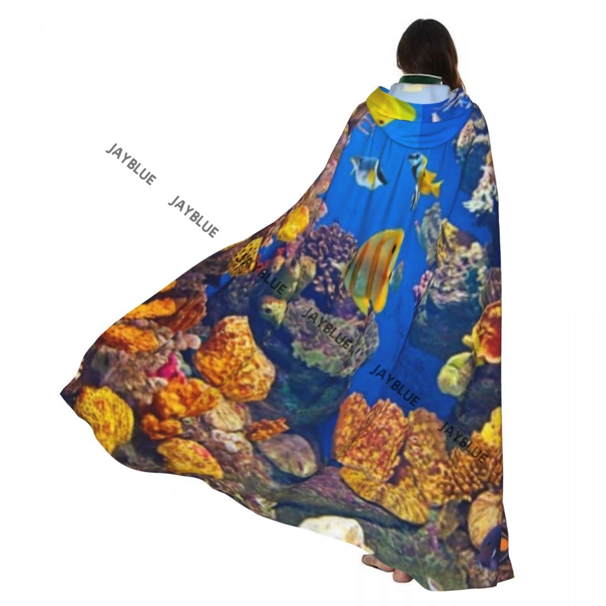 Aquarium Queen Fish - Long Cape Cloak Colorful Aquarium Colorful
