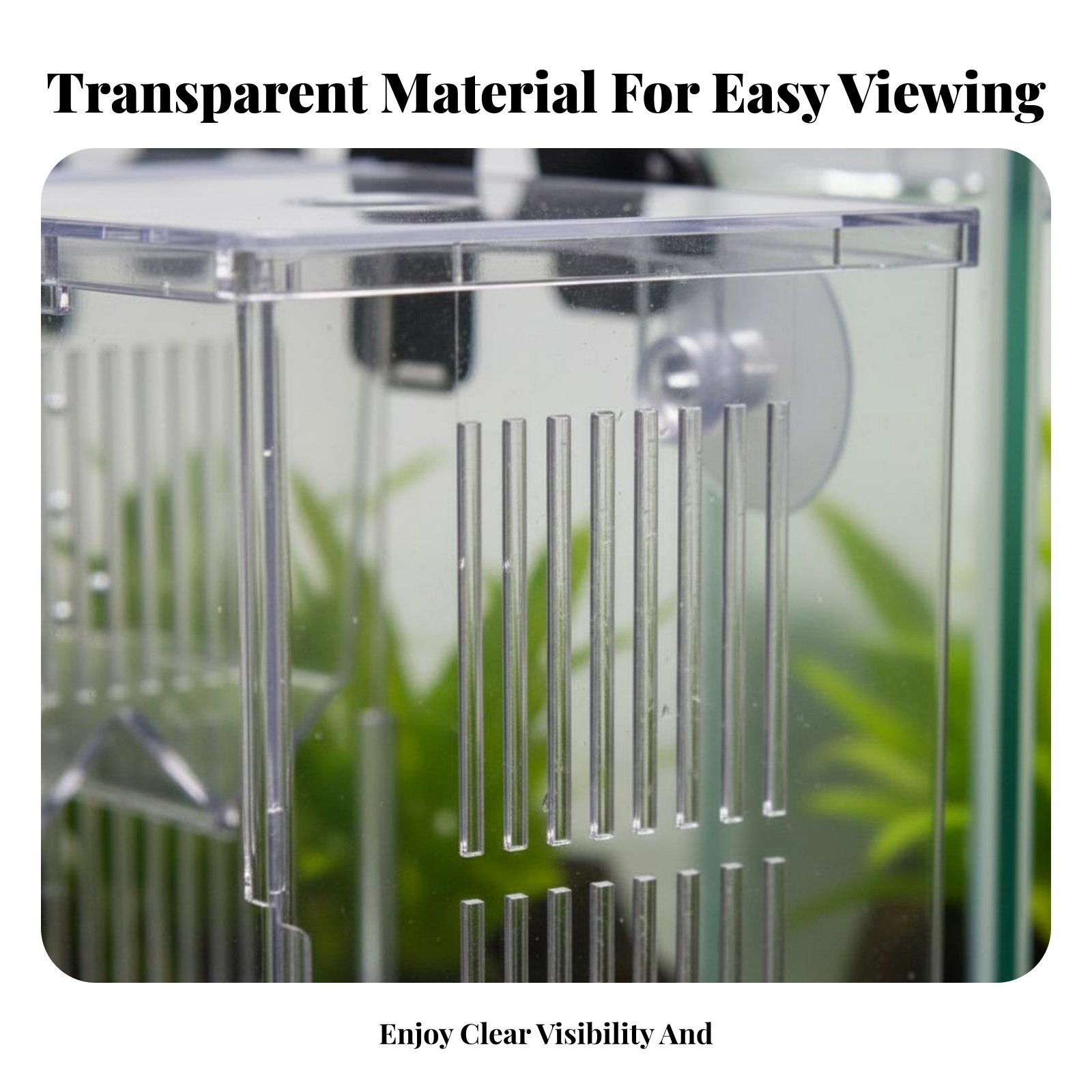 Aquatic Habitat Hatchery Box P - Aquarium Fish Usa recensione e prezzo