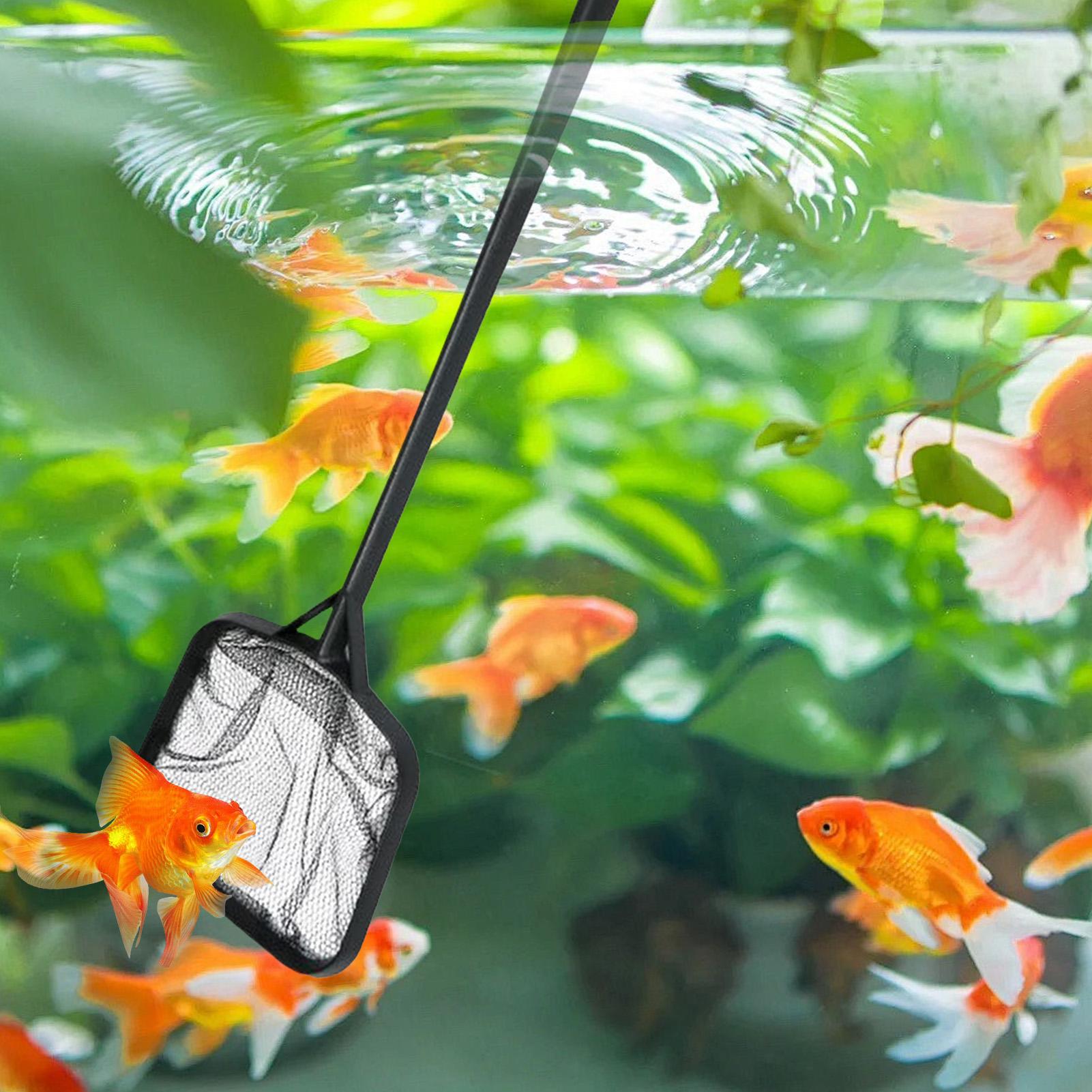 Pool Nets for Cleaning Portabl - Aquarium Fish House recensione e prezzo