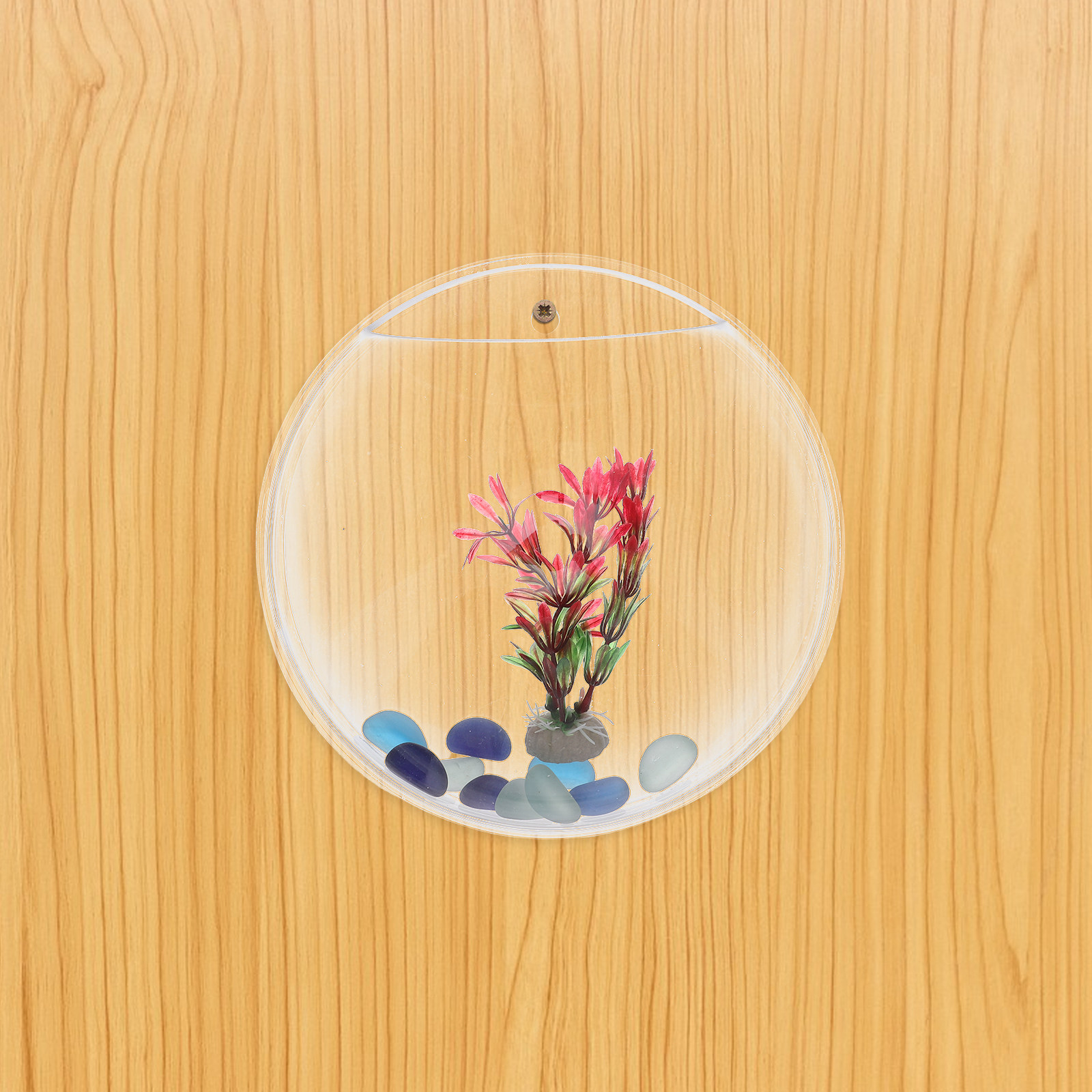 1Set Wall-Mounted Fish Tank 23 - Aquarium Fish Usa recensione e prezzo