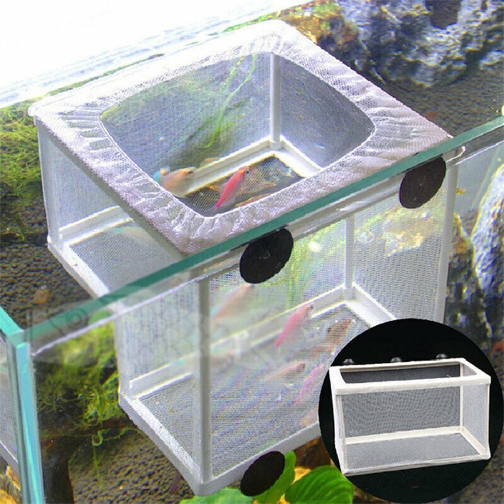 Aquarium Fish Breeder Box with - Aquarium Xxl recensione e prezzo