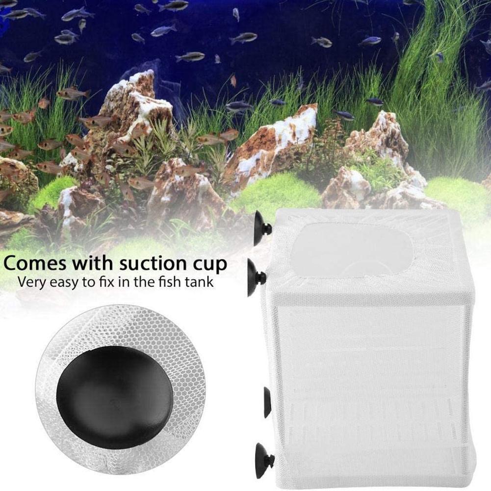 Aquarium Fish Breeder Box with - Aquarium Xxl recensione e prezzo