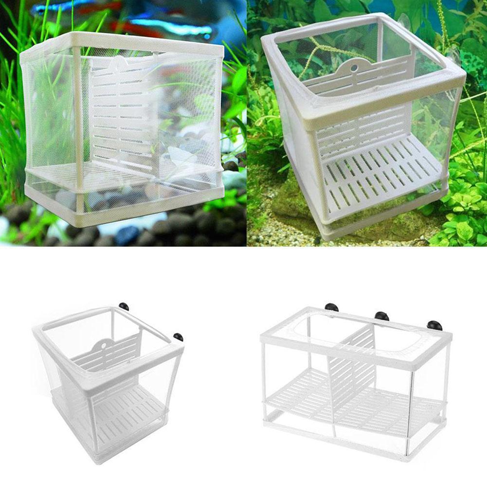 Aquarium Fish Breeder Box with - Aquarium Xxl recensione e prezzo