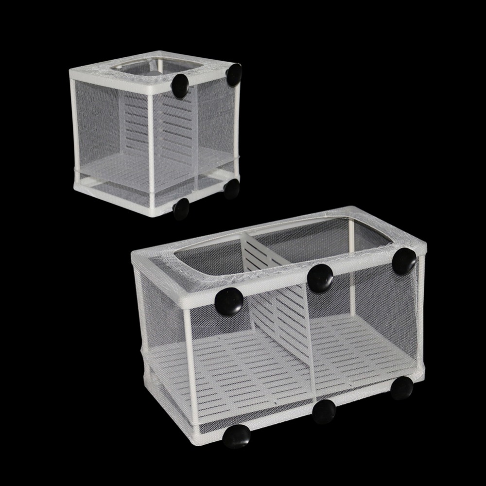 1 Pcs Fish Breeding Incubator  - Aquarium Xxl recensione e prezzo