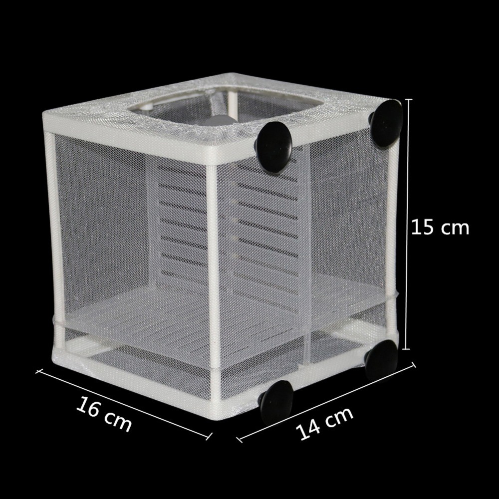 1 Pcs Fish Breeding Incubator  - Aquarium Xxl recensione e prezzo