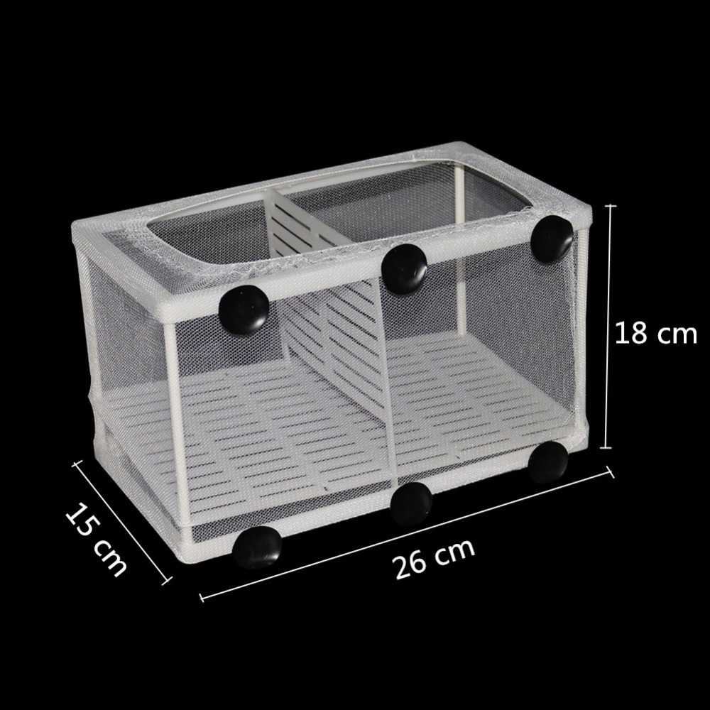 1 Pcs Fish Breeding Incubator  - Aquarium Xxl recensione e prezzo