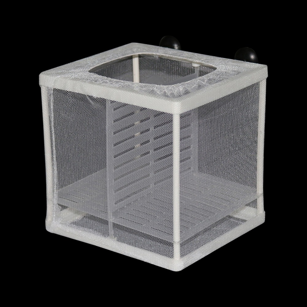 1 Pcs Fish Breeding Incubator  - Aquarium Xxl recensione e prezzo