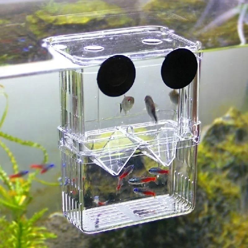 Transparent Fish Aquarium High - Aquarium Xxl recensione e prezzo