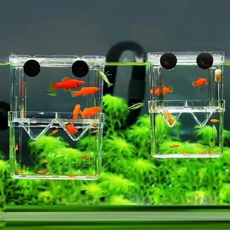 Transparent Fish Aquarium High - Aquarium Xxl recensione e prezzo