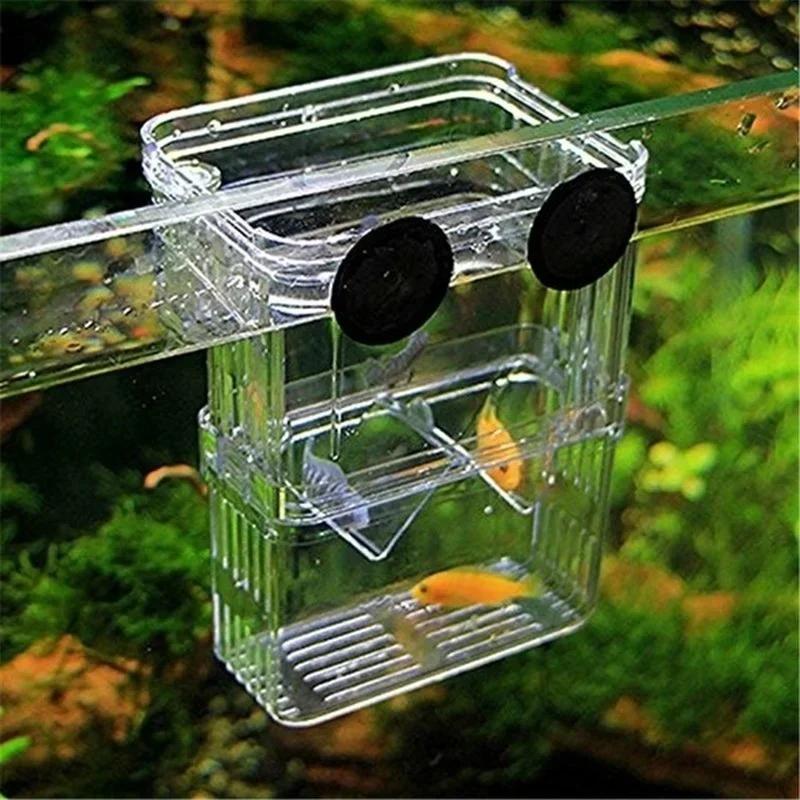 Transparent Fish Aquarium High - Aquarium Xxl recensione e prezzo