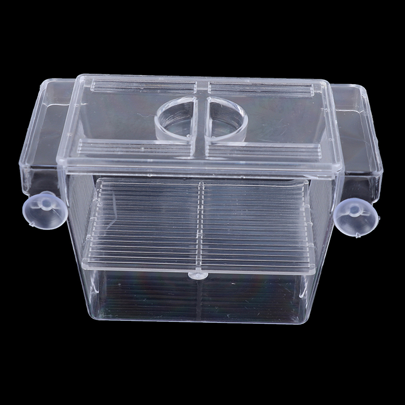 Aquarium Fish Tank Guppy Doubl - Aquarium Xxl recensione e prezzo