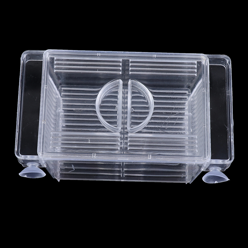 Aquarium Fish Tank Guppy Doubl - Aquarium Xxl recensione e prezzo