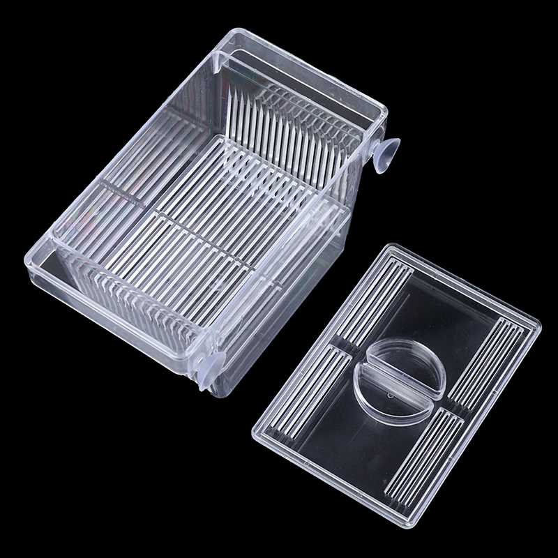 Aquarium Fish Tank Guppy Doubl - Aquarium Xxl recensione e prezzo