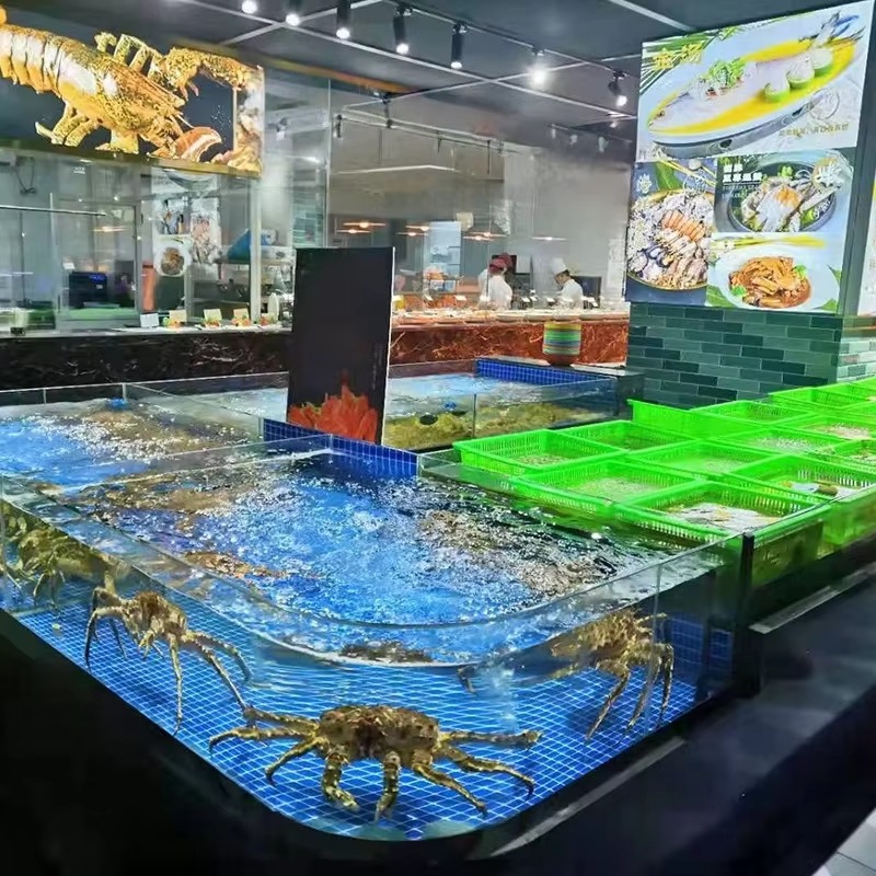 Square Glass Freshwater Fish T - Aquarium Xxl recensione e prezzo
