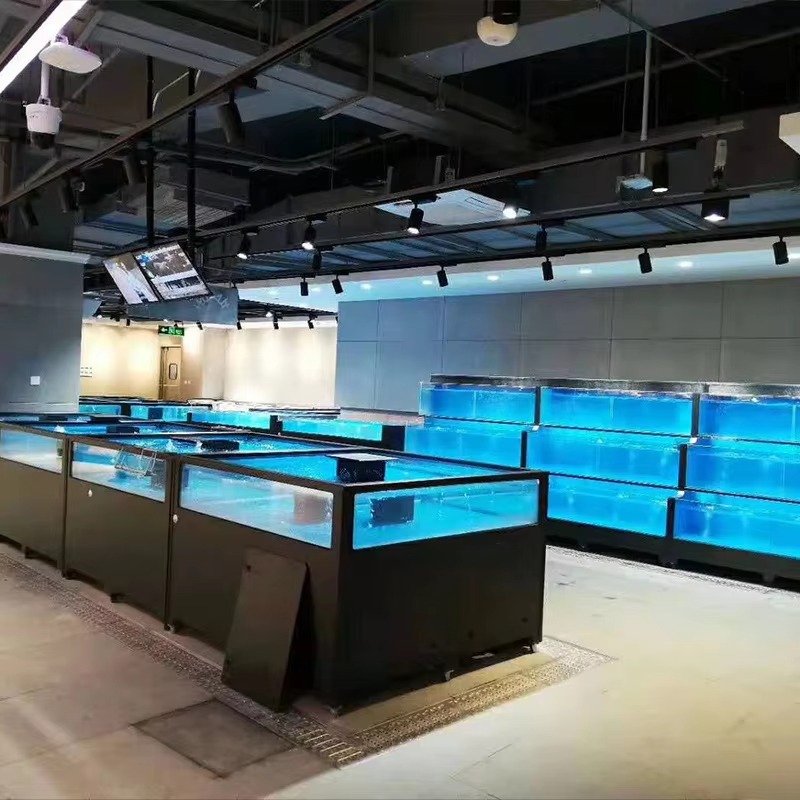Square Glass Freshwater Fish T - Aquarium Xxl recensione e prezzo