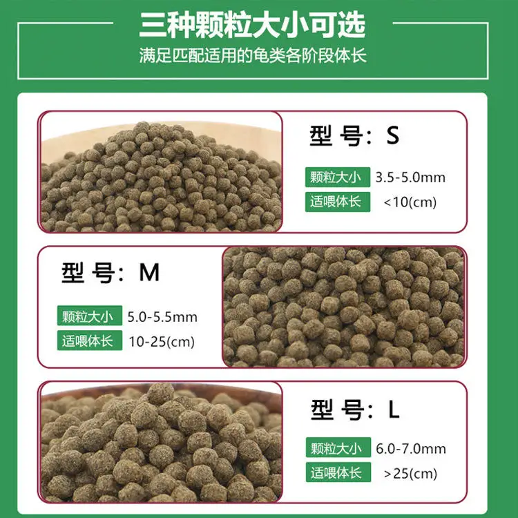 wholesale export high-quality  - Aquarium Fish Exporter recensione e prezzo