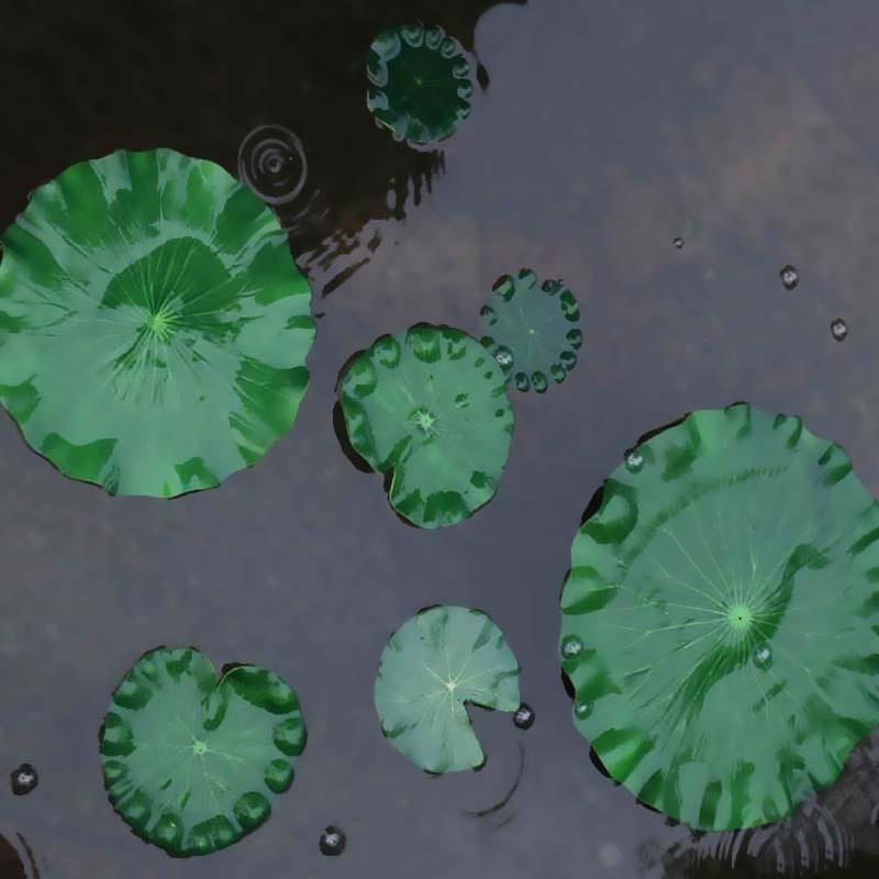 2026 Artificial Water Lily Lot - Aquarium Fish House recensione e prezzo