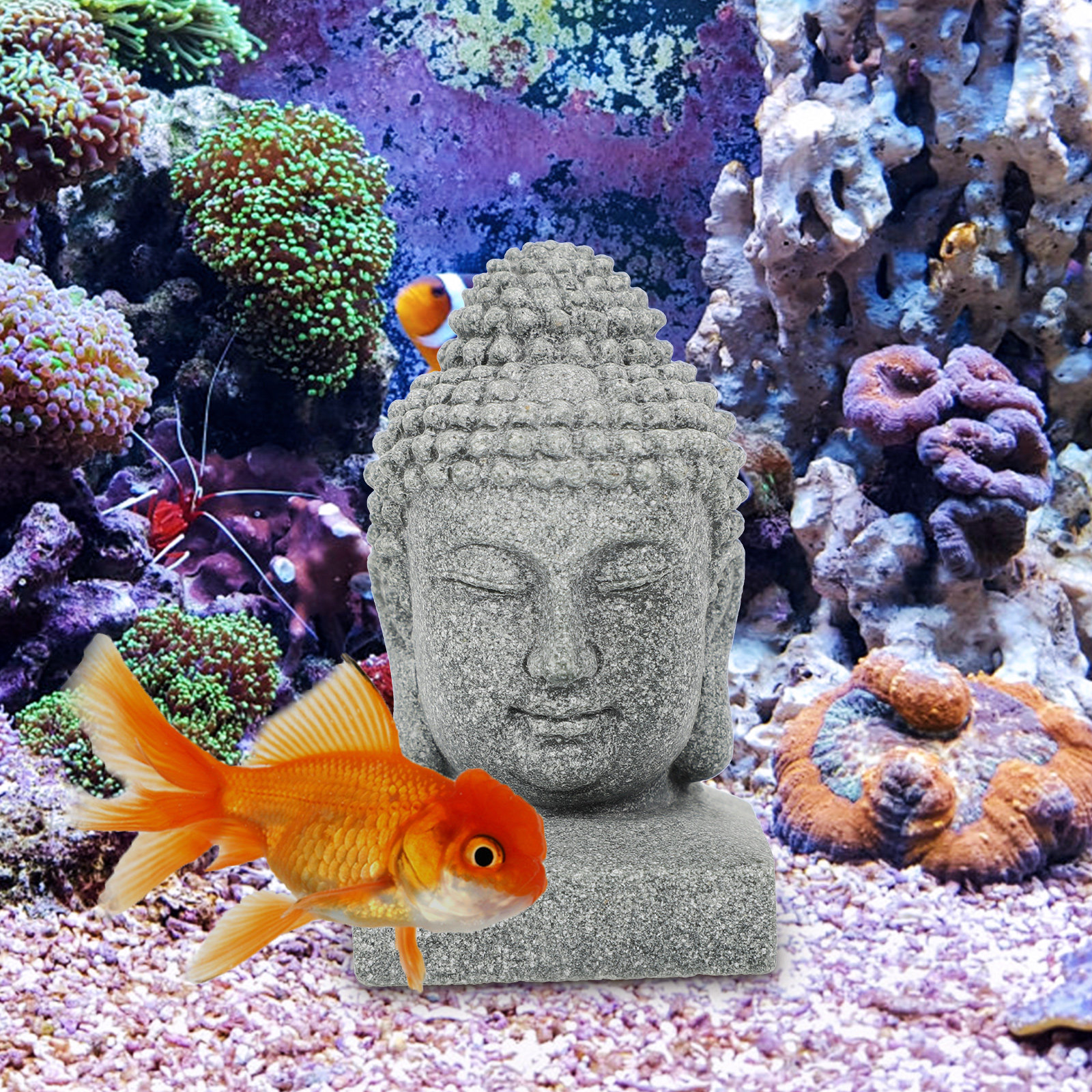 Desktop Buddha Statue Chinese  - Aquarium Fish Usa recensione e prezzo