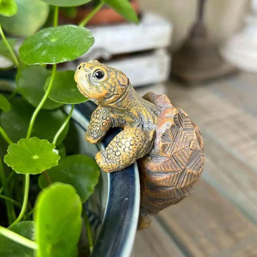 Fishing Turtle Hanging Turtle  - Aquarium Fish House recensione e prezzo
