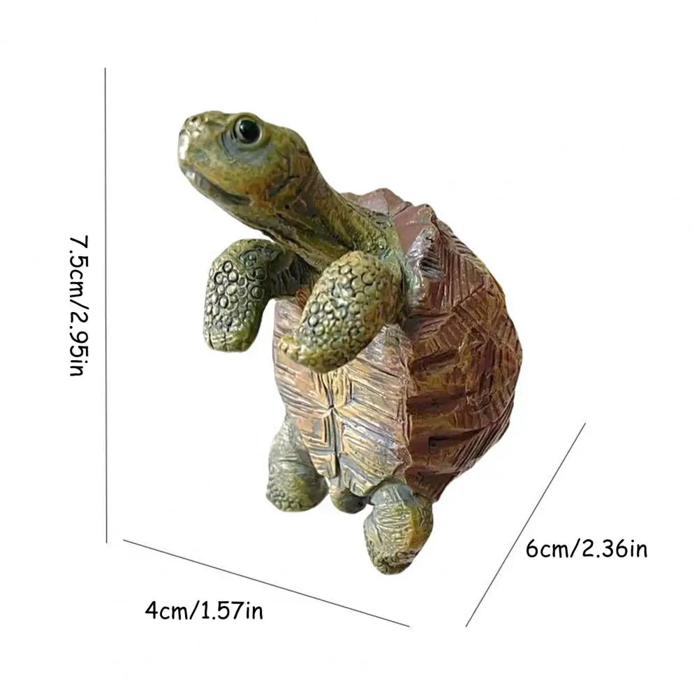 Fishing Turtle Hanging Turtle  - Aquarium Fish House recensione e prezzo