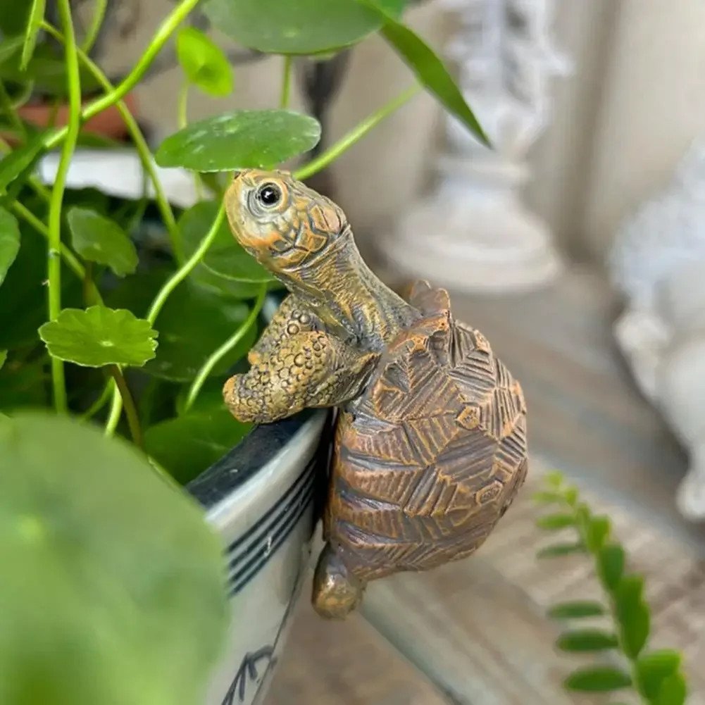 Fishing Turtle Hanging Turtle  - Aquarium Fish House recensione e prezzo