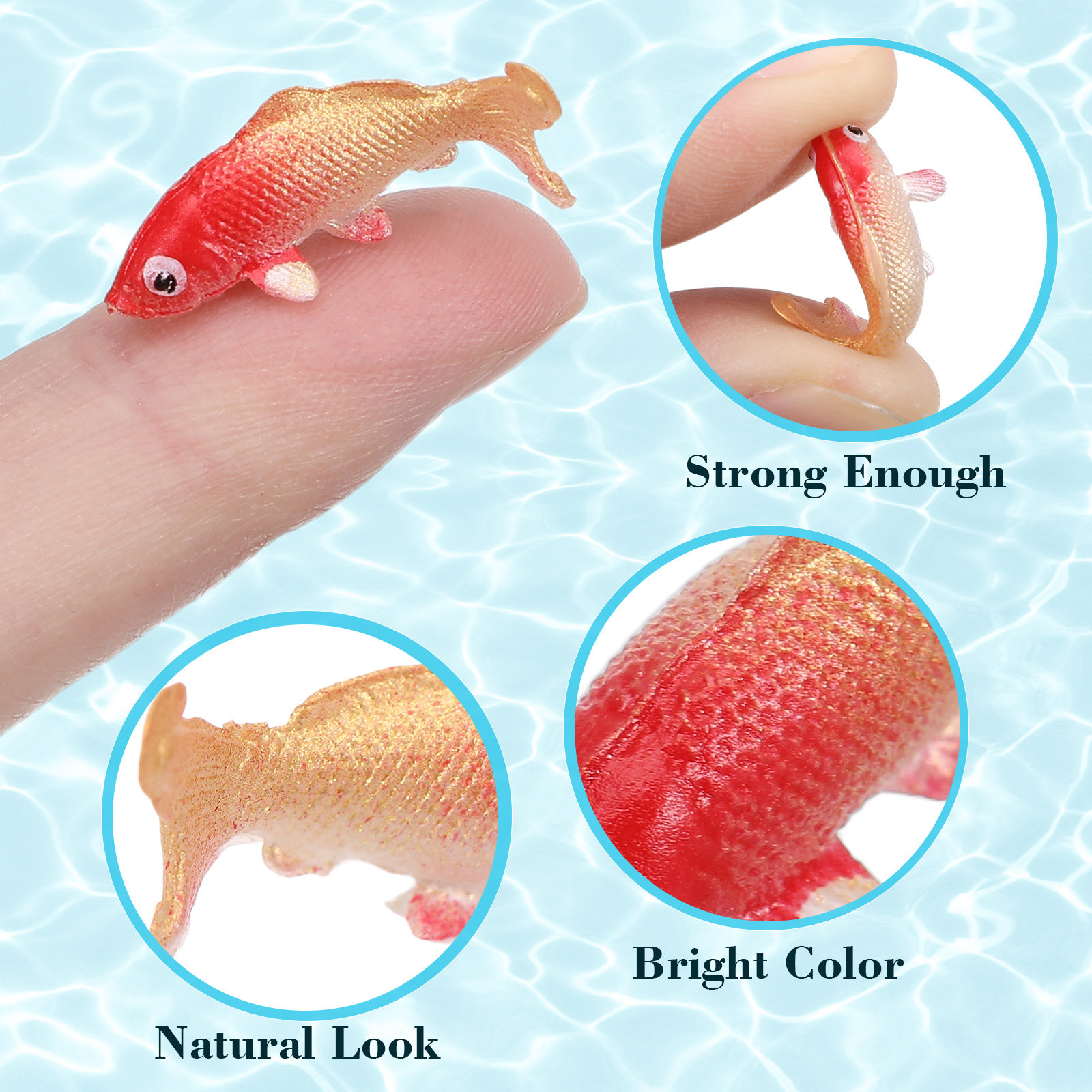 10Pcs Miniature Fancy Carp Col - Aquarium Fish House recensione e prezzo