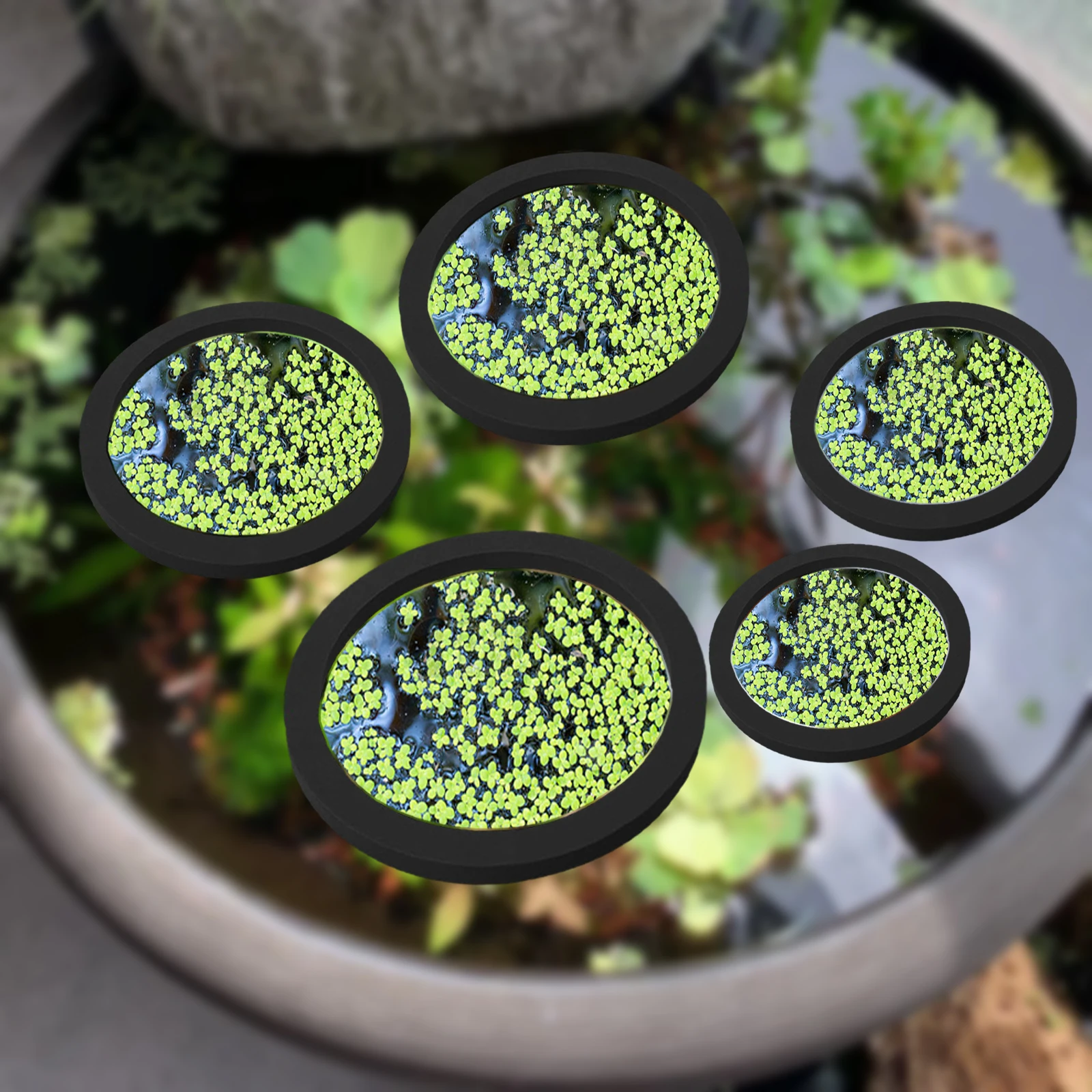 5Pcs EVA Fish Feeding Ring Aqu - Aquarium Fish House recensione e prezzo