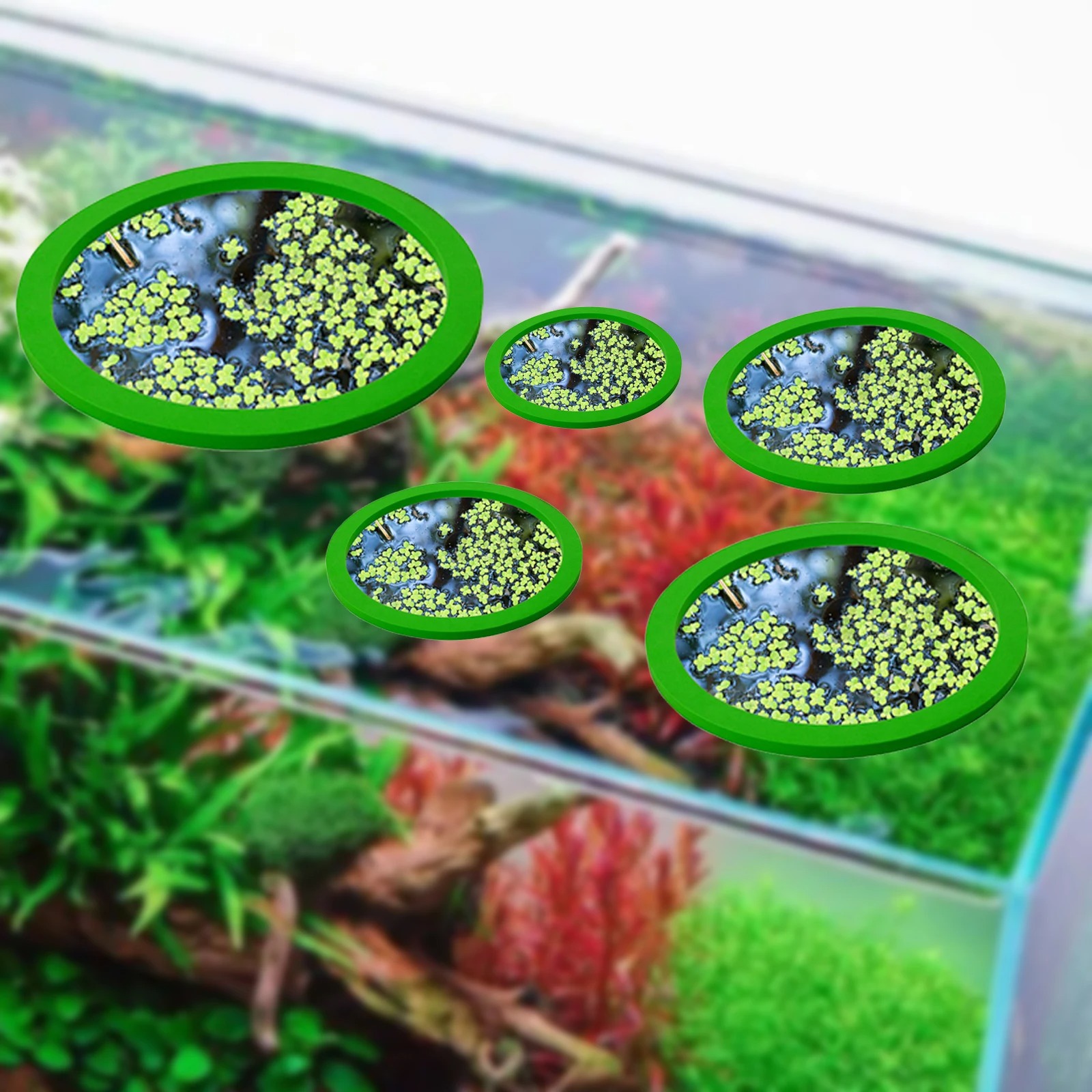 5Pcs EVA Fish Feeding Ring Aqu - Aquarium Fish House recensione e prezzo
