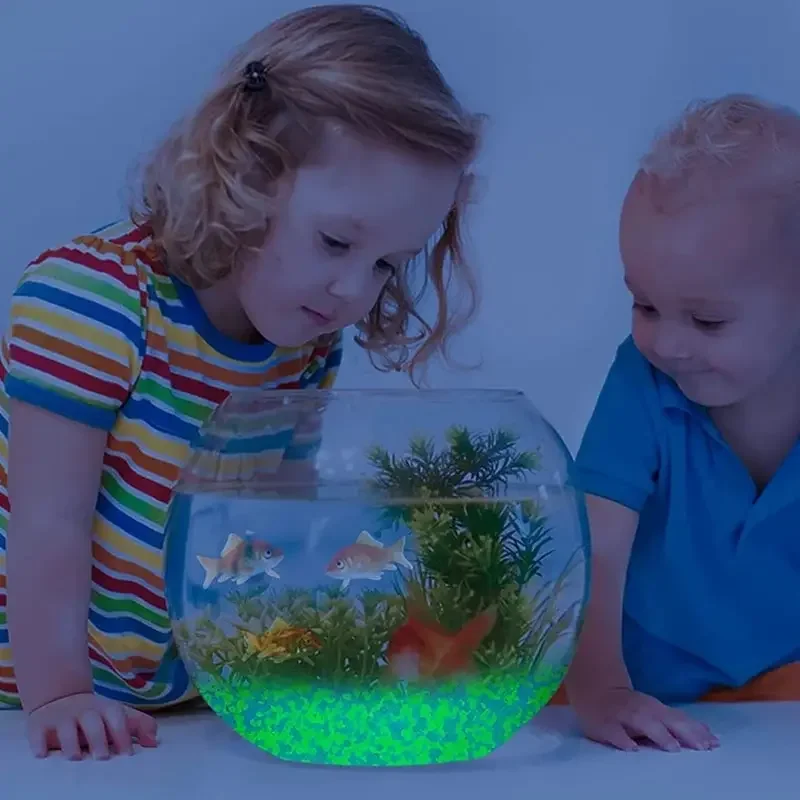 1000pcs 3-5mm Luminous Sand Gl - Aquarium Fish House recensione e prezzo