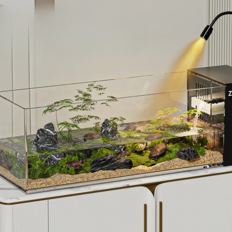 ‌Turtle Aquarium Tank - Fish & - Aquarium Xxl recensione e prezzo