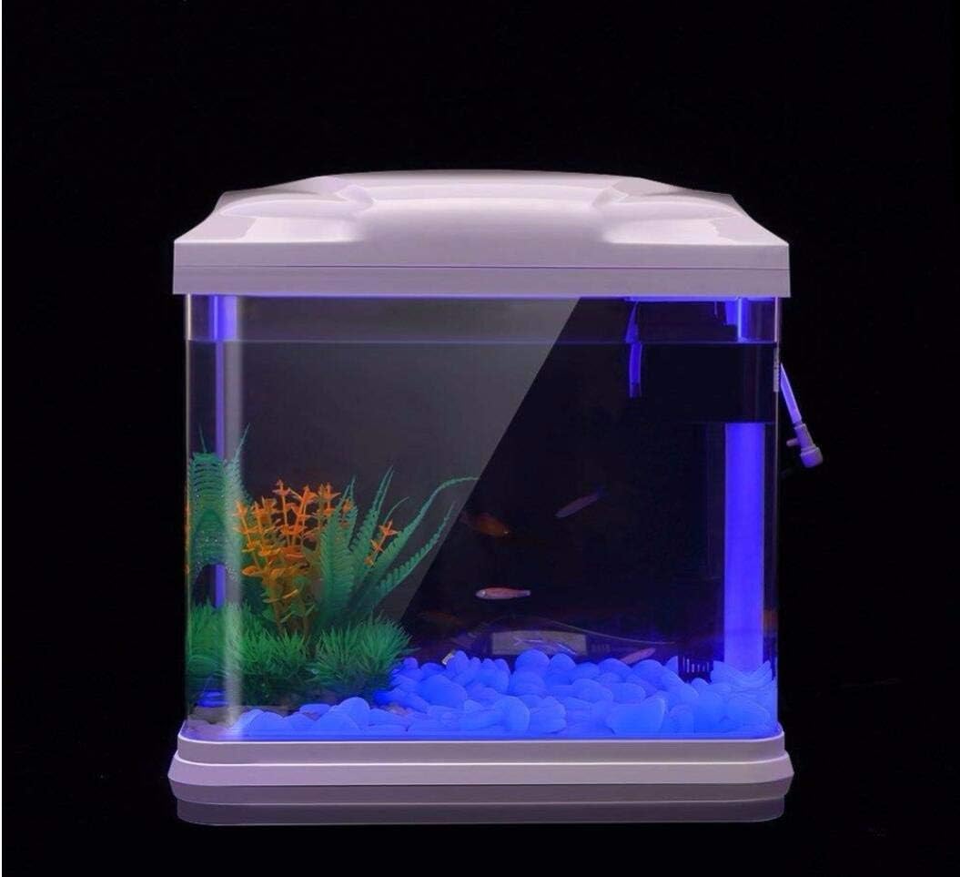 Fish Tank Rocks Glow Blue Pebb - Aquarium Fish House recensione e prezzo