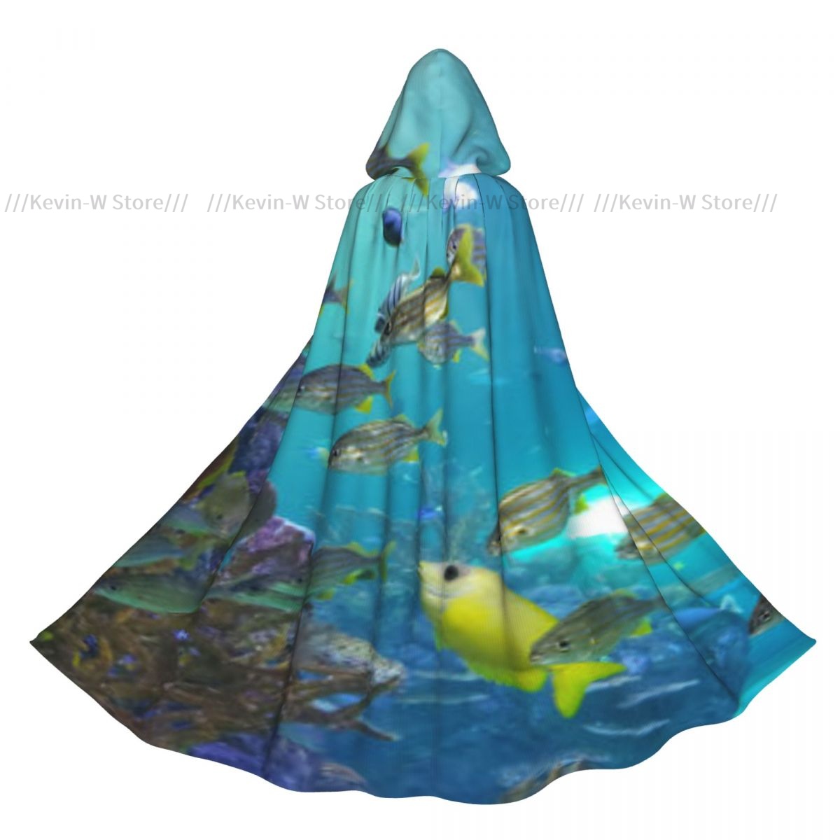 Fish Inside Aquarium Hooded Cl - Aquarium Queen Fish recensione e prezzo