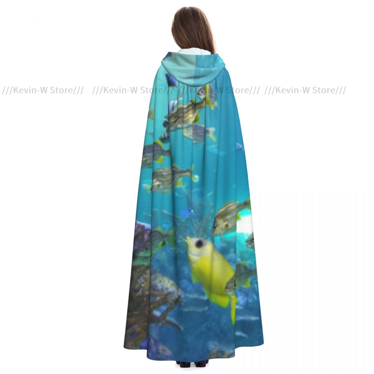 Fish Inside Aquarium Hooded Cl - Aquarium Queen Fish recensione e prezzo