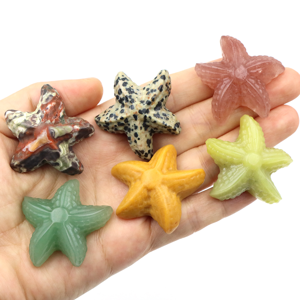 35mm Starfish Shape Statue Mar - Aquarium Fish Usa recensione e prezzo