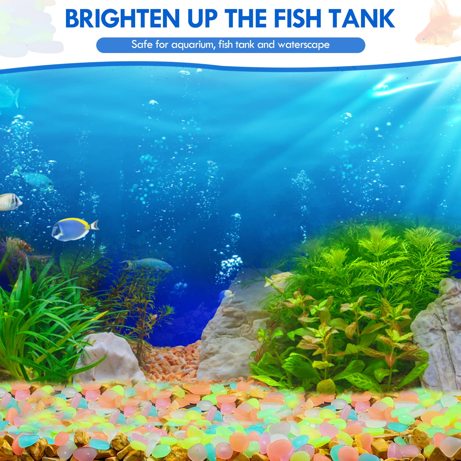 100Pcs Glow in the Dark Garden - Aquarium Fish House recensione e prezzo