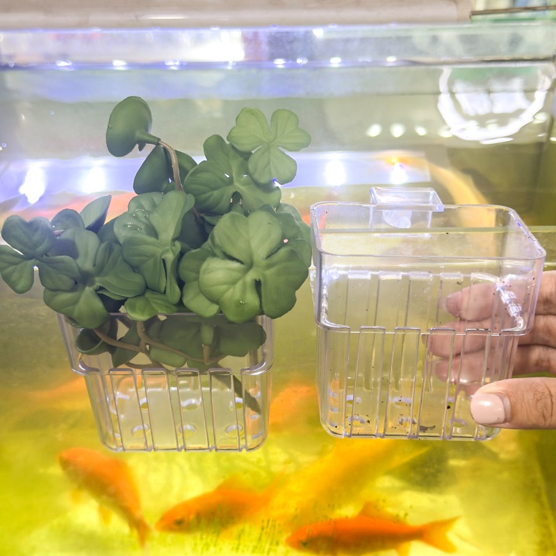 1/5pcs Aquarium Decoration Pla - Aquarium Fish House recensione e prezzo