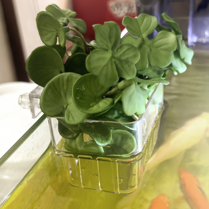 1/5pcs Aquarium Decoration Pla - Aquarium Fish House recensione e prezzo
