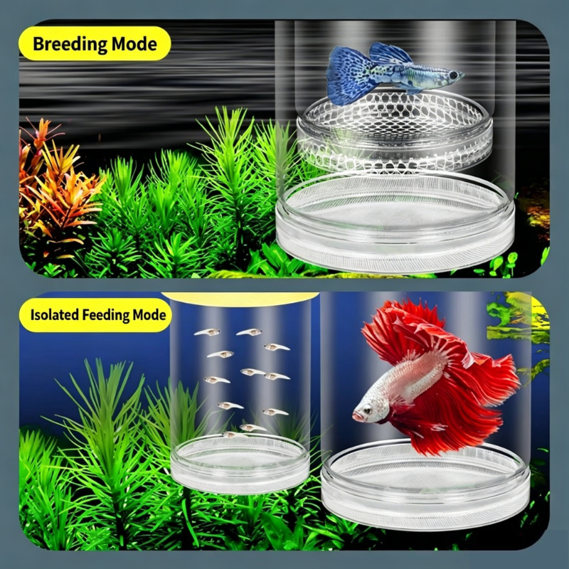 Transparent Floating Aquarium  - Aquarium Xxl recensione e prezzo