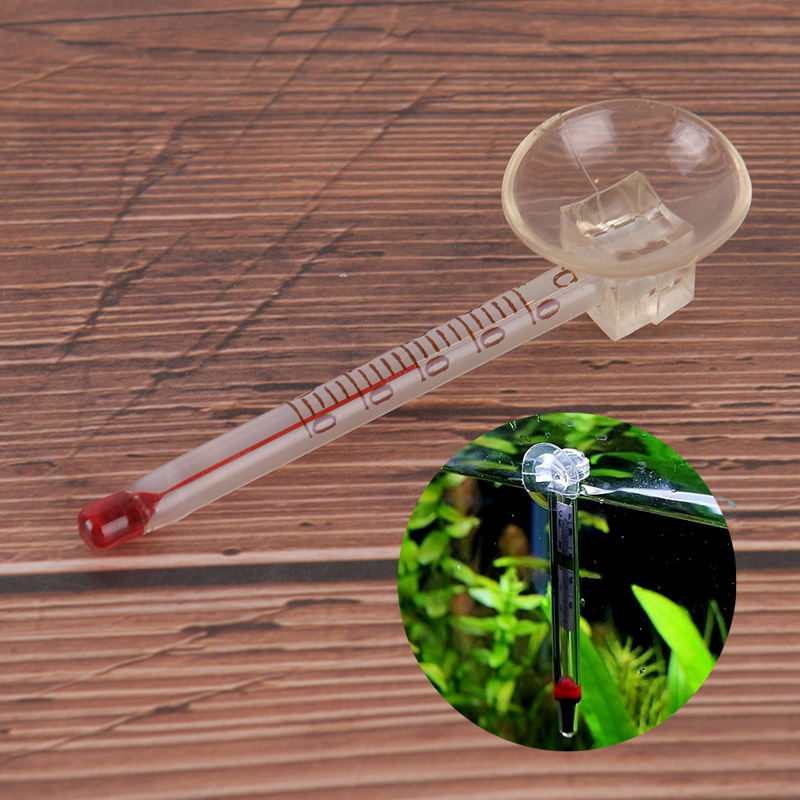 Glass meter aquarium fish tank - Aquarium Fish House recensione e prezzo