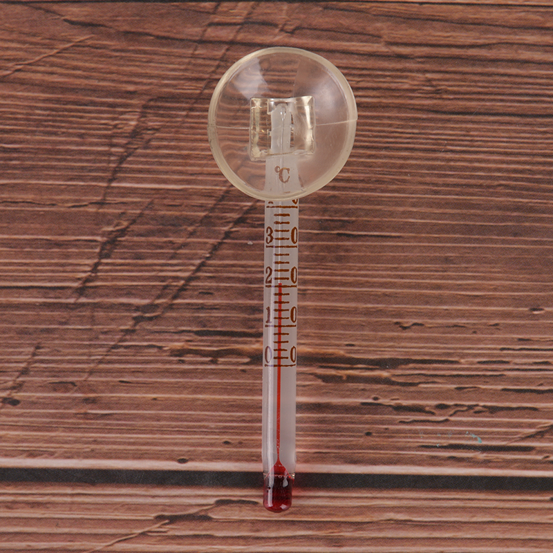 Glass meter aquarium fish tank - Aquarium Fish House recensione e prezzo