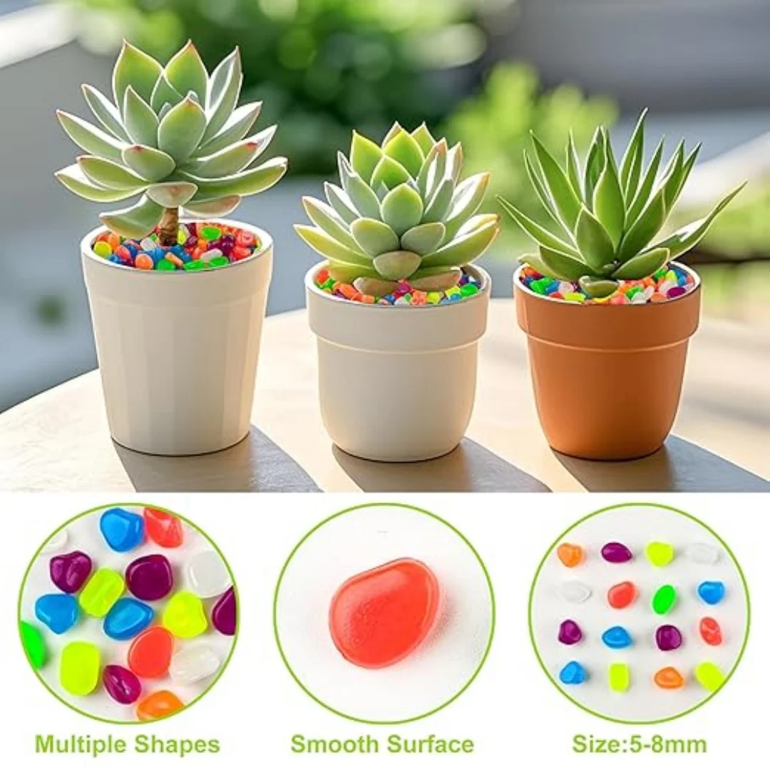500Pcs Glow in The Dark Garden - Aquarium Fish House recensione e prezzo